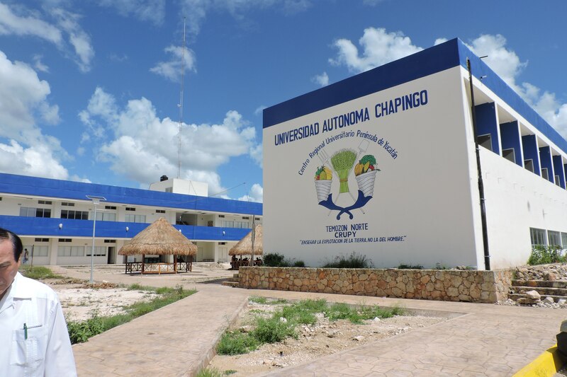 Universidad Autónoma Chapingo