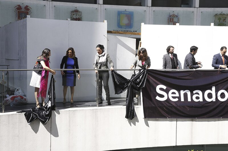 El Senado de la República