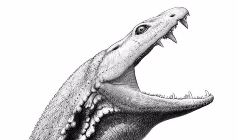 Reptil prehistórico con dientes afilados