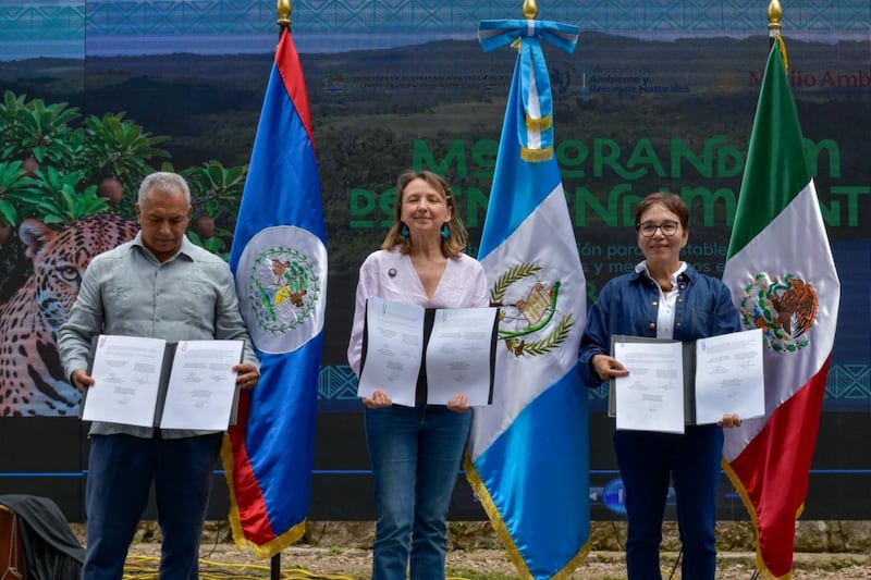 México, Guatemala y Belice acuerdan proteger la Gran Selva Maya El plan incluye monitoreo de especies, prevención de incendios y desarrollo sostenible en la región.