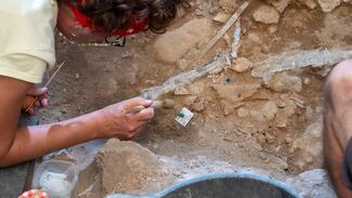 Hallazgo y análisis de fósiles en Marruecos  confirman el origen africano de los humanos