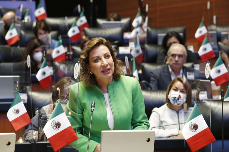 La diputada mexicana Ana Lilia Herrera Anzaldo habla en el podio de la Cámara de Diputados.