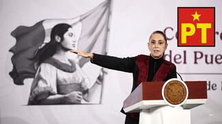 Respaldan PT y PVEM Plan B, pero... “hay que revisar letra chiquita”.