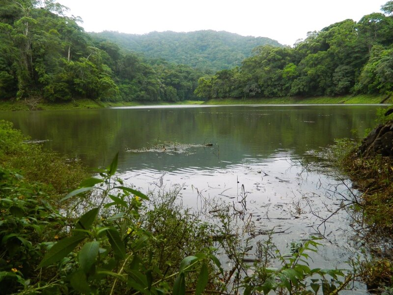 Laguna rodeada de vegetación en Chiapas, México