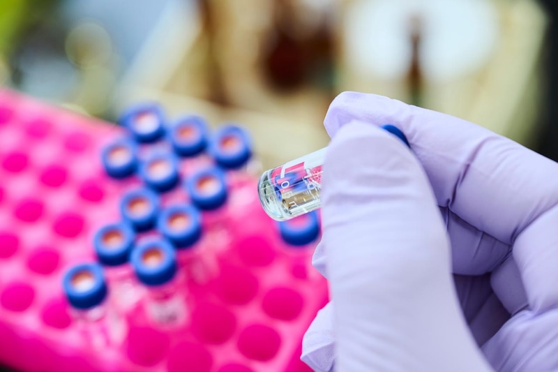 México se va consolidando como un hub estratégico para la investigación clínica