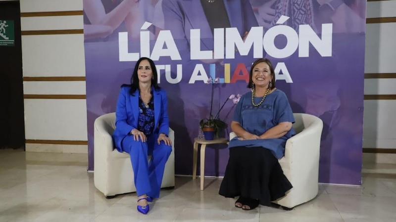 Lía Limón, candidata a la alcaldía de Álvaro Obregón