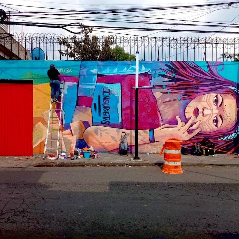 Artista pinta un mural en la calle