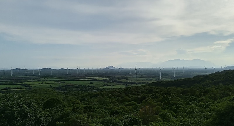 Parque eólico en España