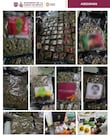 Aseguran 54 kilos de droga en VC que era entregada por taxis de aplicación