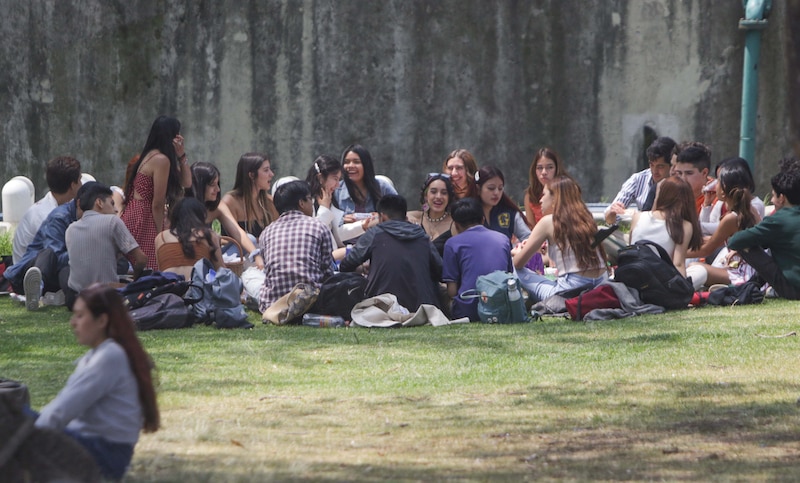 Jóvenes disfrutan de un día de campo en el parque