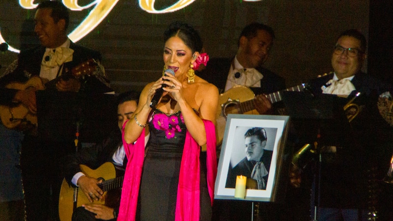 La cantante mexicana Ana Gabriel se presenta en un concierto.
