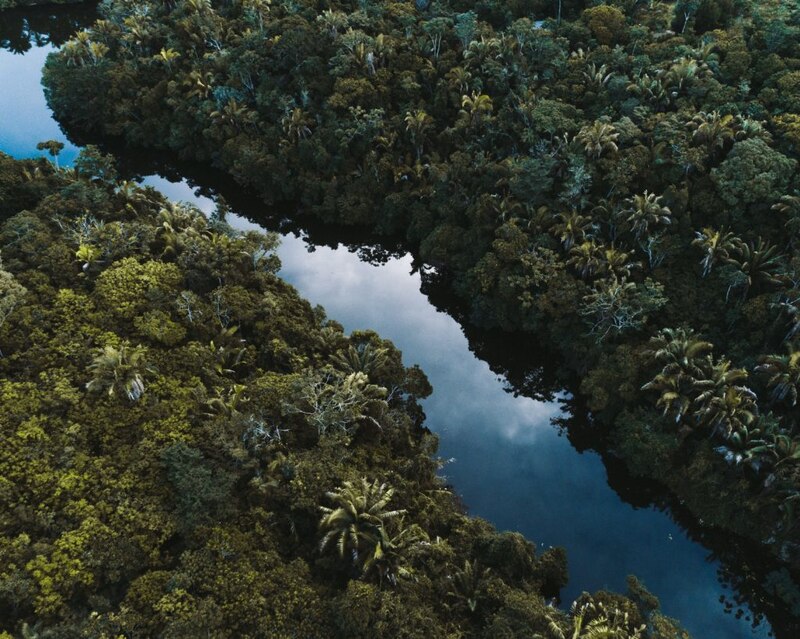 La belleza de la naturaleza