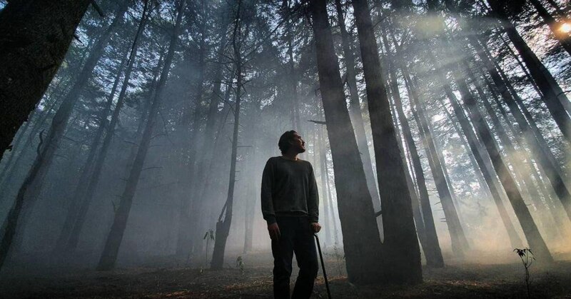 Un hombre camina por un bosque brumoso