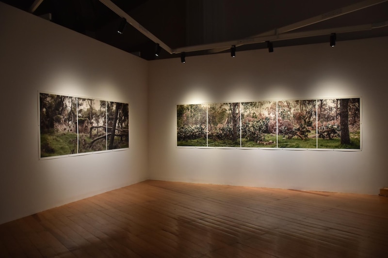 Exposición de fotografías de la naturaleza