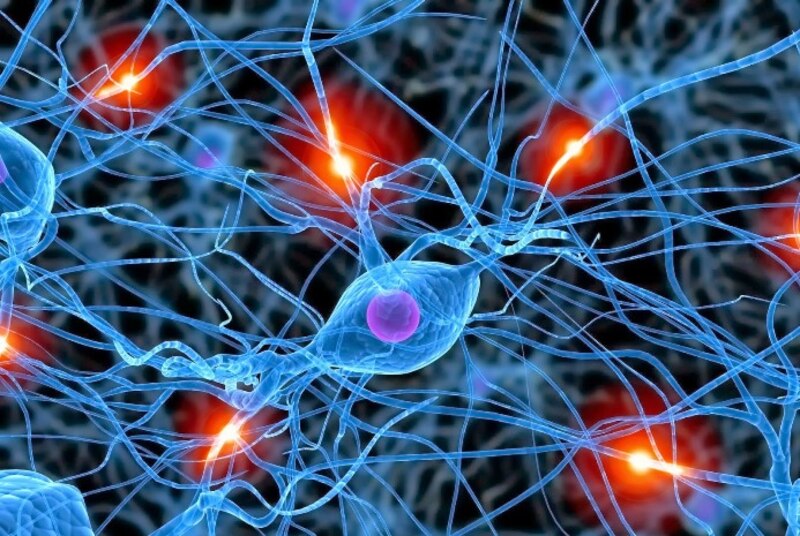 Neuronas