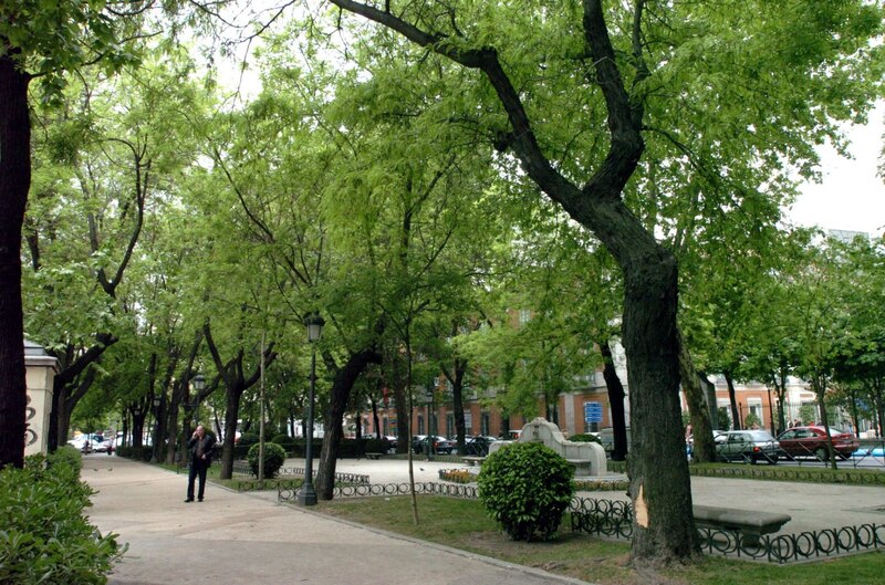 Parque con árboles y bancos