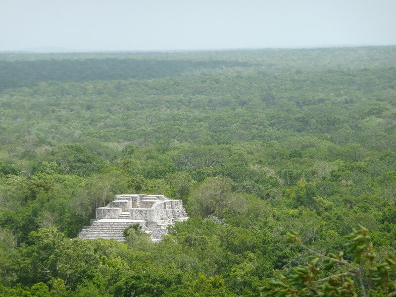 Ruinas mayas en medio de la selva