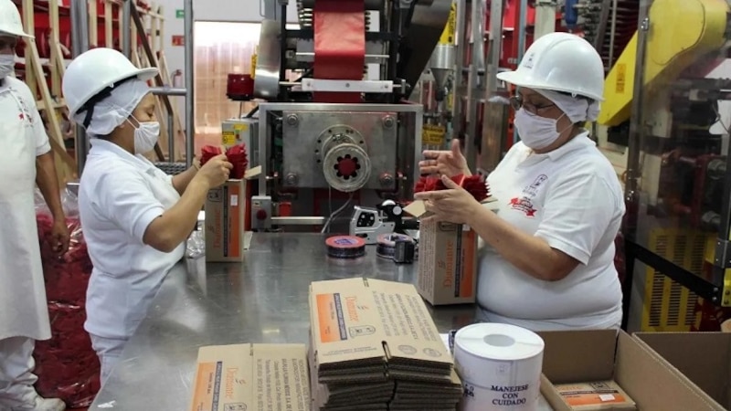 Mujeres trabajando en una fábrica