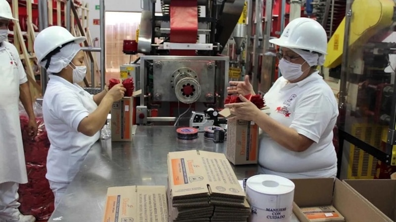 Mujeres trabajando en una fábrica