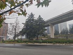 Navidad con niebla, lluvias intensas y temperaturas bajo 0: alertan por riesgos en carreteras y vuelos