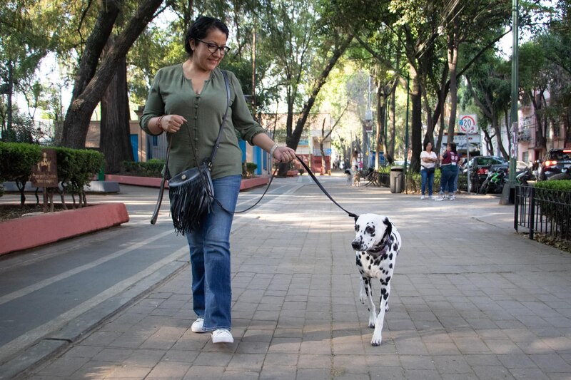 Mujer paseando a su perro