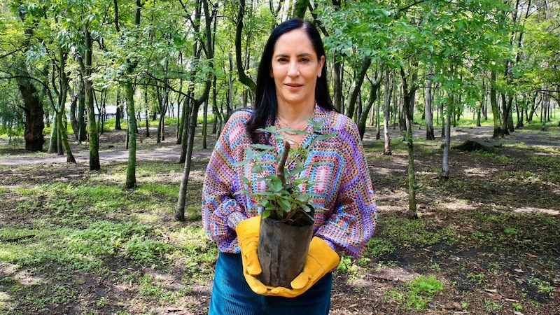 Mujer plantando un árbol