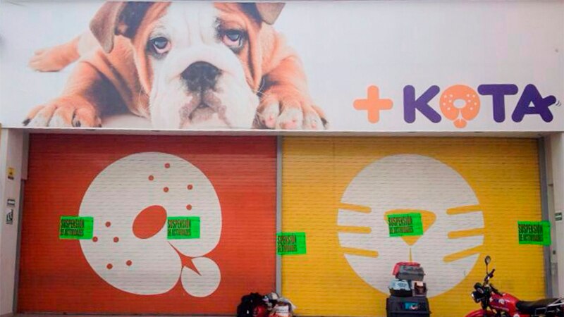 Kota, la tienda de mascotas