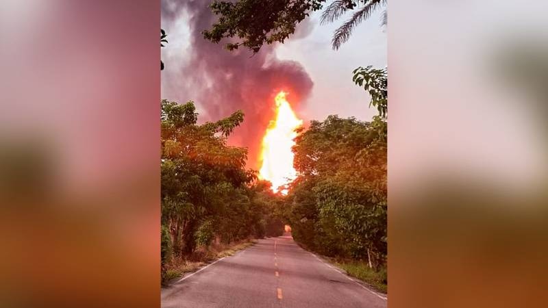 Incendio en una carretera