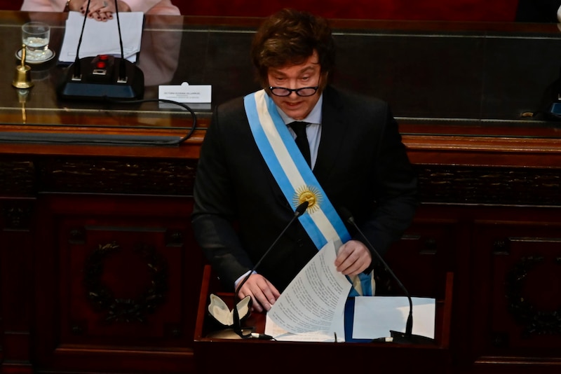 El diputado Javier Milei durante una sesión en el Congreso de la Nación Argentina