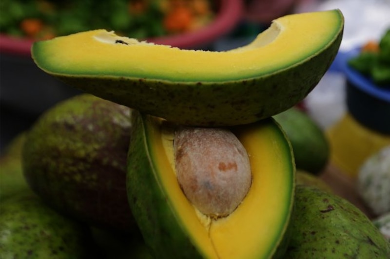 Aguacate