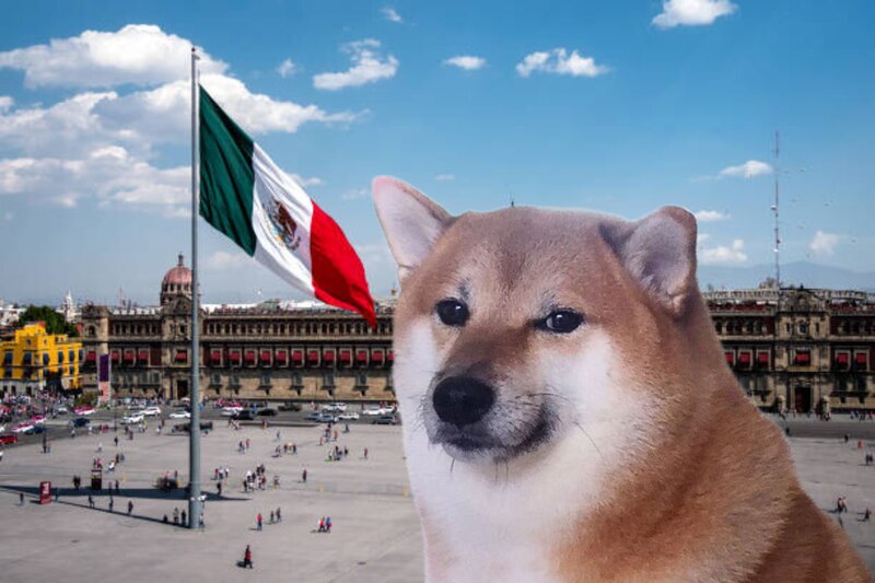 Perrito Cheems en el Zócalo de la CDMX