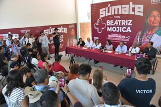 Beatriz Mojica recibe apoyo de científicos, empresarios y activistas de Guerrero