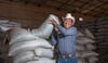 Entregarán 5 mil 300 toneladas de semilla certificada de frijol en Durango y Zacatecas