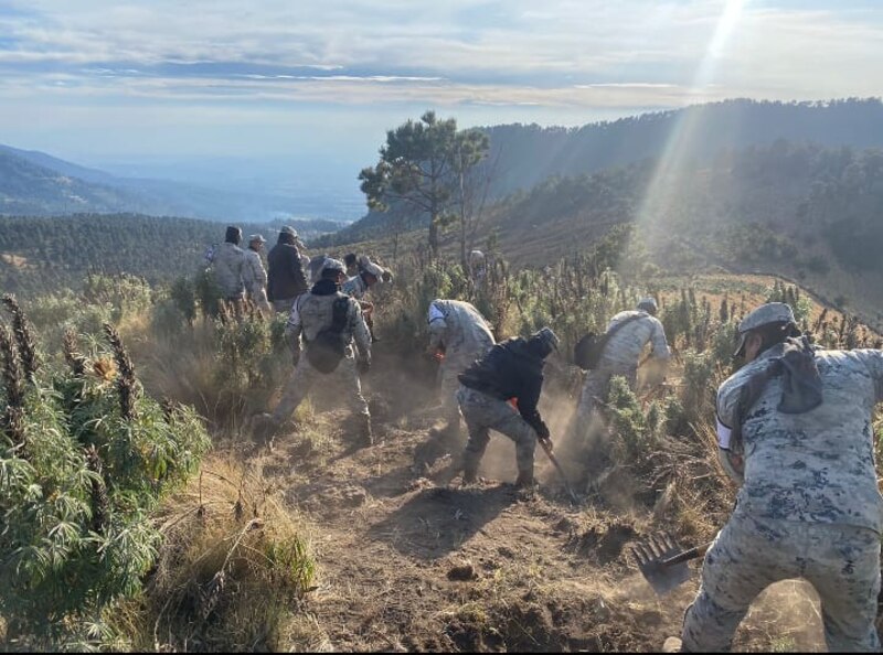 Erradicación de cultivos ilícitos en Colombia