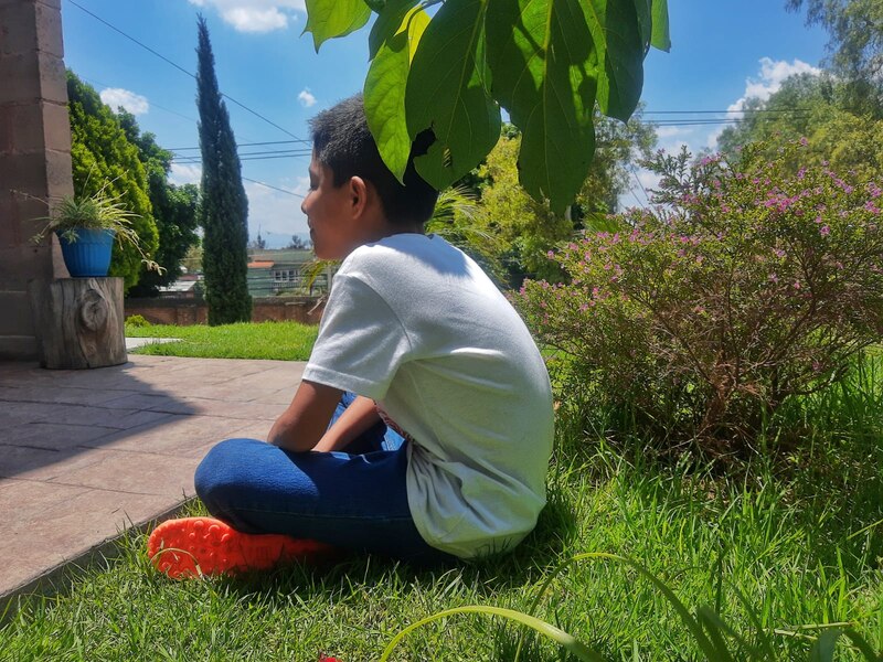 Niño sentado en el jardín