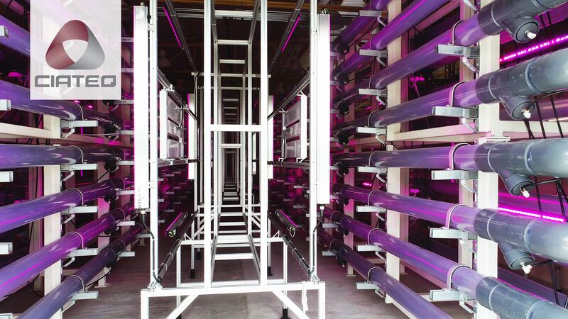 Planta piloto de fotobiorreactores para el cultivo de microalgas