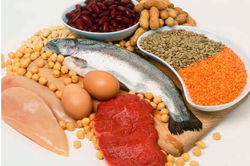 Alimentos ricos en proteínas