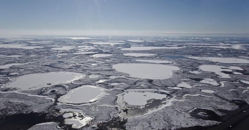 Bancos de hielo en el Ártico