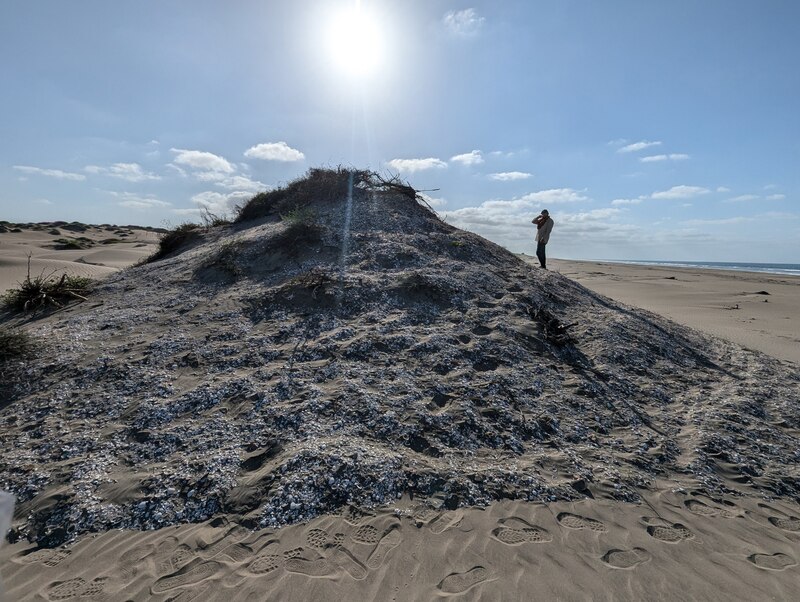 Una persona caminando sobre una duna de arena en la playa