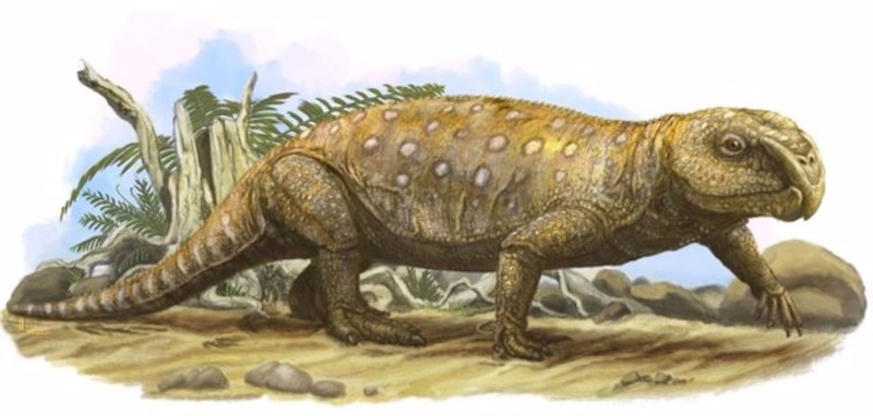 Un reptil prehistórico