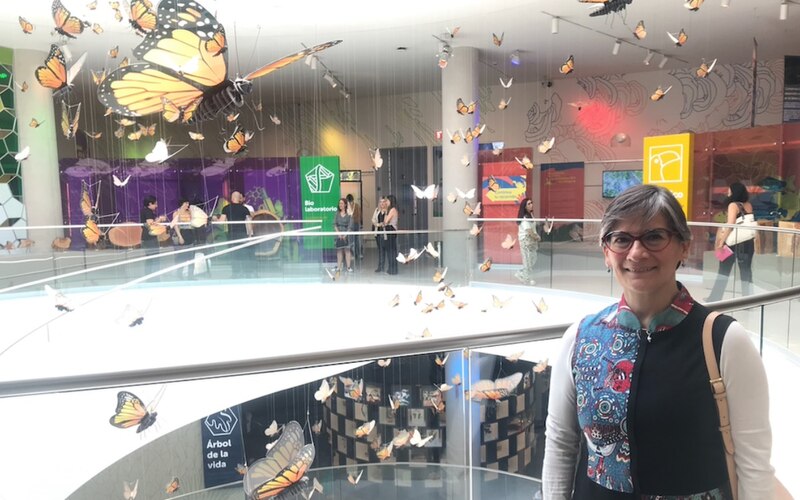 Mujer en el museo de las mariposas