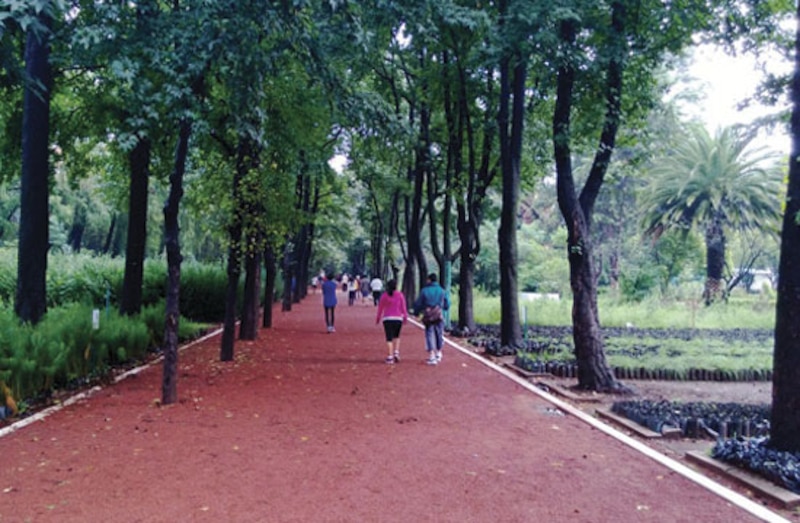Jardín Botánico de Buenos Aires