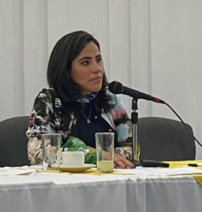 La Ministra de Educación, Marilú Martens, durante una conferencia de prensa.