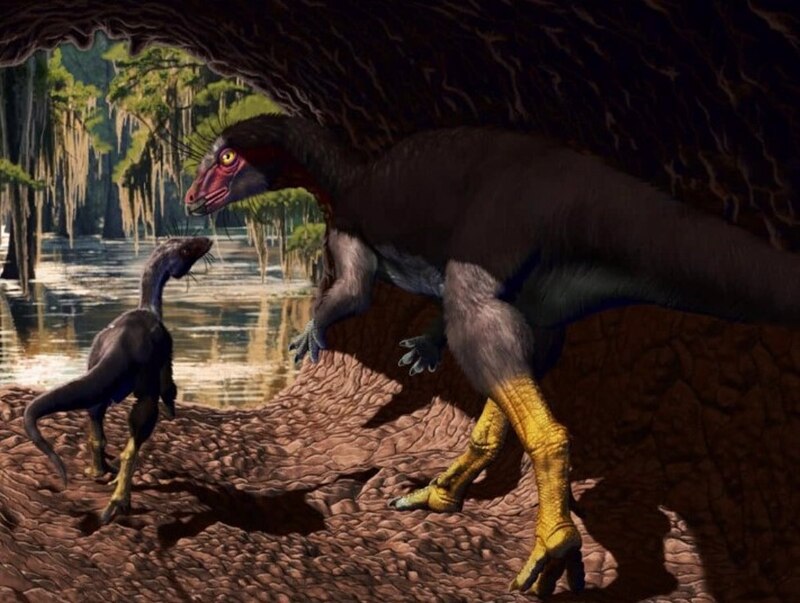 Un dinosaurio emplumado protege a su cría de otro dinosaurio