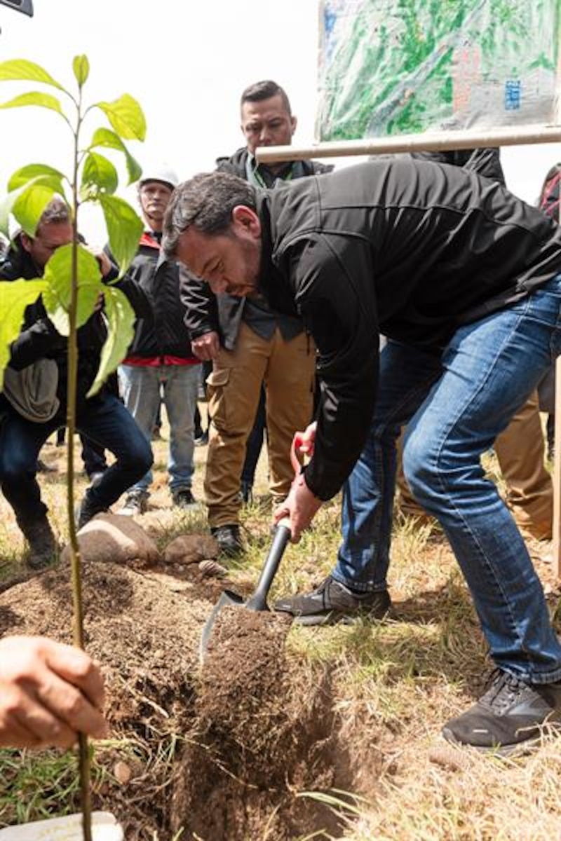 El político Pedro Sánchez planta un árbol en un acto público.