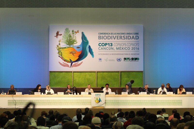 Conferencia de las Naciones Unidas sobre Biodiversidad COP13-COPMOP8-COPMOP2