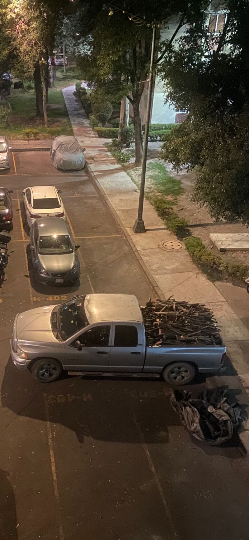 Camioneta cargada de leña