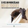 Pasos a seguir si te muerde un animal con rabia 