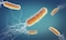 Una bacteria diseñada para tratar cálculos renales, un paso hacia las terapias microbianas