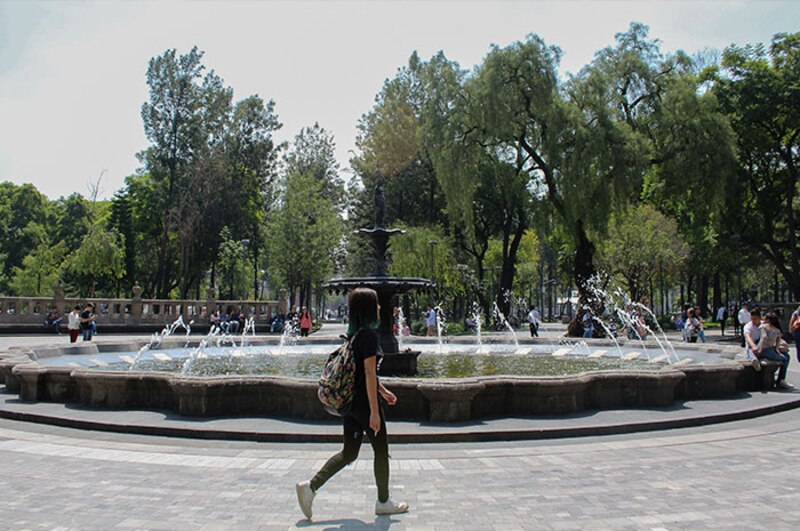 Caminando por el parque